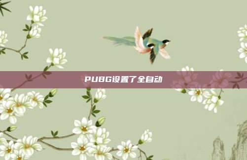 PUBG设置了全自动