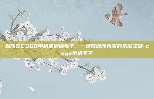 当你在CSGO单机里偶遇毛子,一场荒诞而真实的东欧之旅-csgo单机毛子