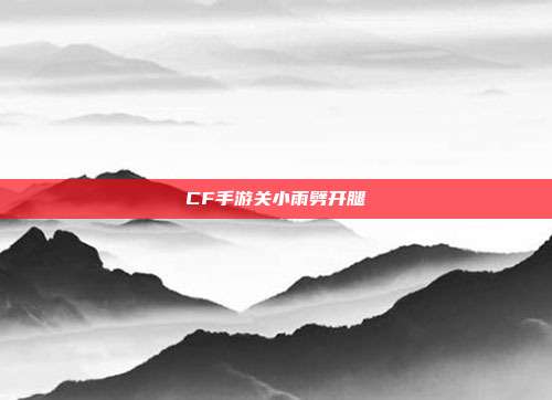 CF手游关小雨劈开腿