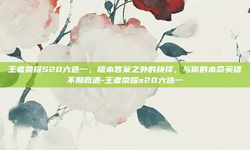 王者荣耀S20六选一,版本答案之外的抉择,与你的本命英雄不期而遇-王者荣耀s20六选一
