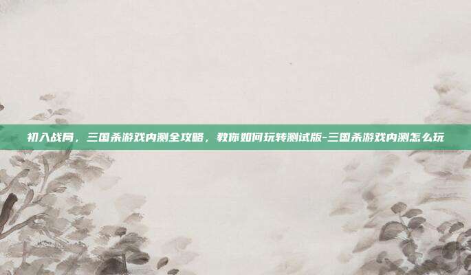 初入战局，三国杀游戏内测全攻略，教你如何玩转测试版-三国杀游戏内测怎么玩
