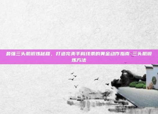 最强三头肌锻炼秘籍,打造完美手臂线条的黄金动作指南-三头肌锻炼方法
