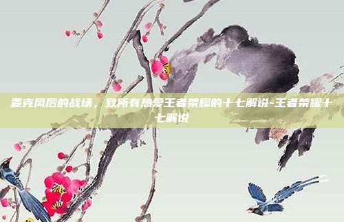 麦克风后的战场,致所有热爱王者荣耀的十七解说-王者荣耀十七解说