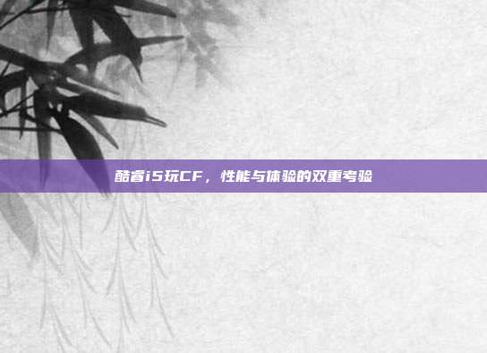 酷睿i5玩CF,性能与体验的双重考验
