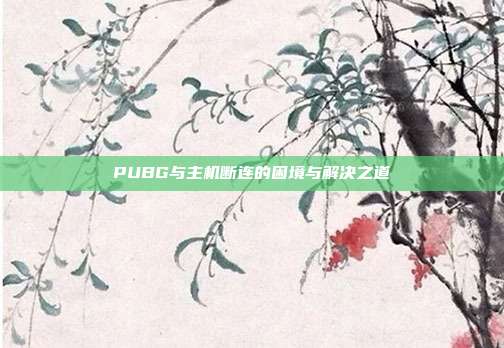 PUBG与主机断连的困境与解决之道