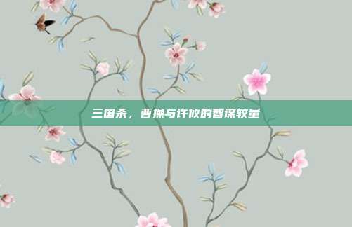三国杀,曹操与许攸的智谋较量