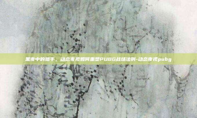 黑夜中的猎手,动态夜视如何重塑PUBG战场法则-动态夜视pubg