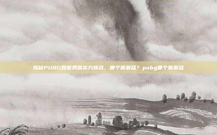 揭秘PUBG各服务器实力排名,哪个服最猛?pubg哪个服最猛
