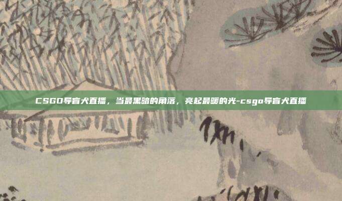 CSGO导盲犬直播,当最黑暗的角落,亮起最暖的光-csgo导盲犬直播