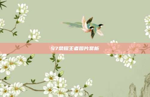 S7荣耀王者图片赏析