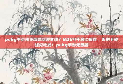 pubg手游免费加速器哪家强?2024年良心推荐,告别卡顿轻松吃鸡!pubg手游免费器