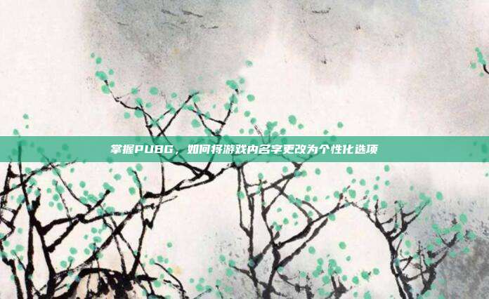 掌握PUBG,如何将游戏内名字更改为个性化选项