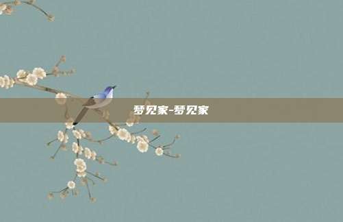 梦见家-梦见家