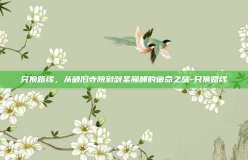 只狼路线,从破旧寺院到剑圣巅峰的宿命之旅-只狼路线