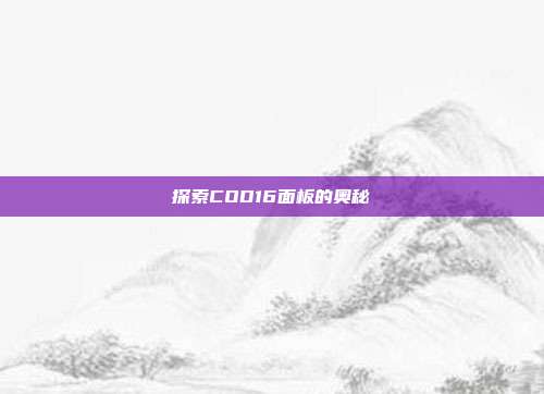 探索COD16面板的奥秘