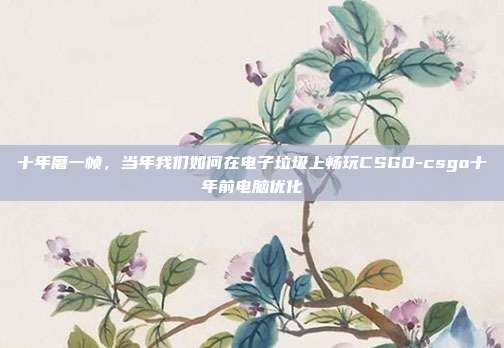 十年磨一帧,当年我们如何在电子垃圾上畅玩CSGO-csgo十年前电脑优化