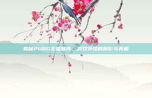 揭秘PUBG主播插件,游戏外挂的阴影与真相