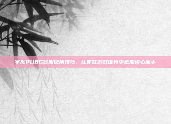 掌握PUBG客服使用技巧,让你在游戏世界中更加得心应手