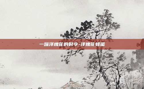 一罐洋槐花的时令-洋槐花蜂蜜