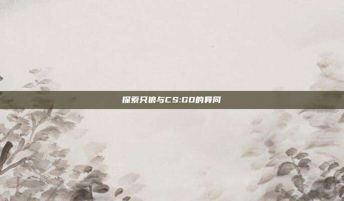 探索只狼与CS:GO的异同