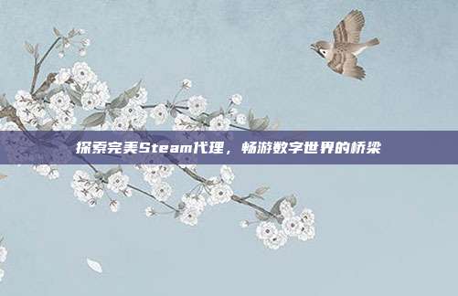 探索完美Steam代理，畅游数字世界的桥梁