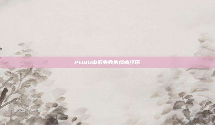 PUBG申诉失败的惨痛经历