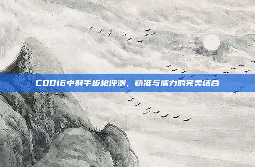 COD16中射手步枪评测,精准与威力的完美结合