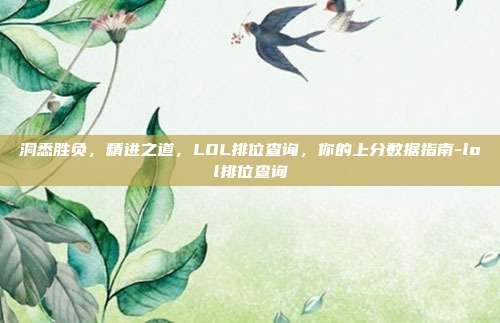 洞悉胜负,精进之道,LOL排位查询,你的上分数据指南-lol排位查询