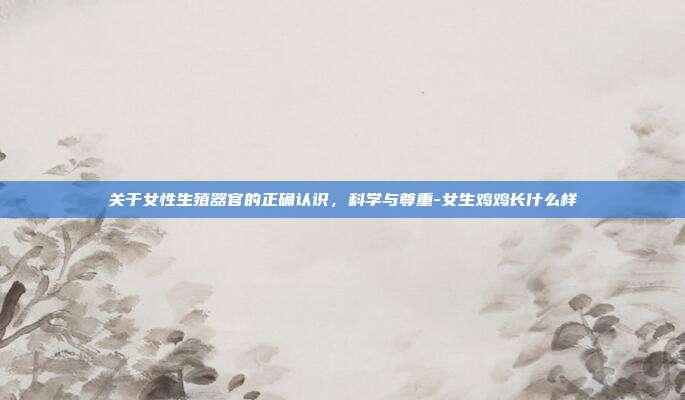 关于女性生殖器官的正确认识,科学与尊重-女生鸡鸡长什么样