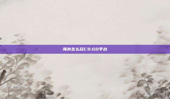 海外怎么玩CS:GO平台