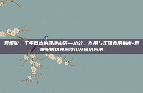葛根粉，千年草本的健康密码—功效、作用与正确食用指南-葛根粉的功效与作用及食用方法