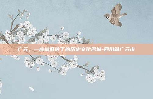 广元,一座被低估了的历史文化名城-四川省广元市