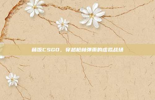 稀饭CSGO,穿越枪林弹雨的虚拟战场
