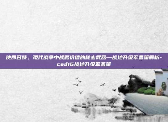 使命召唤,现代战争中战略价值的秘密武器—战地升级军备箱解析-cod16战地升级军备箱