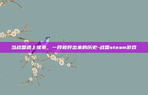 当战国遇上像素,一段被肝出来的历史-战国steam游戏