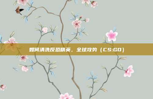 如何清洗反恐精英，全球攻势（CS:GO）