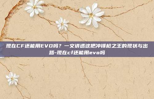 现在CF还能用EVO吗？一文讲透这把冲锋枪之王的现状与出路-现在cf还能用evo吗
