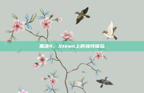 黑魂4,Steam上的独特体验