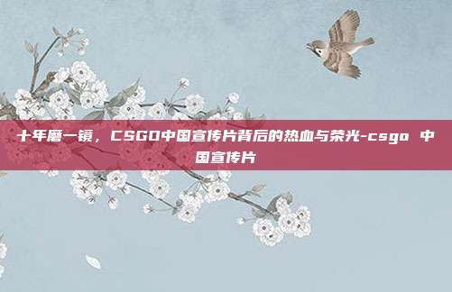 十年磨一镜,CSGO中国宣传片背后的热血与荣光-csgo 中国宣传片