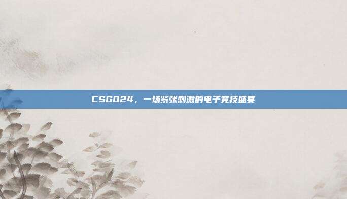 CSGO24,一场紧张刺激的电子竞技盛宴