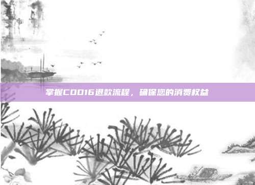掌握COD16退款流程,确保您的消费权益