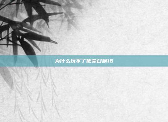 为什么玩不了使命召唤16