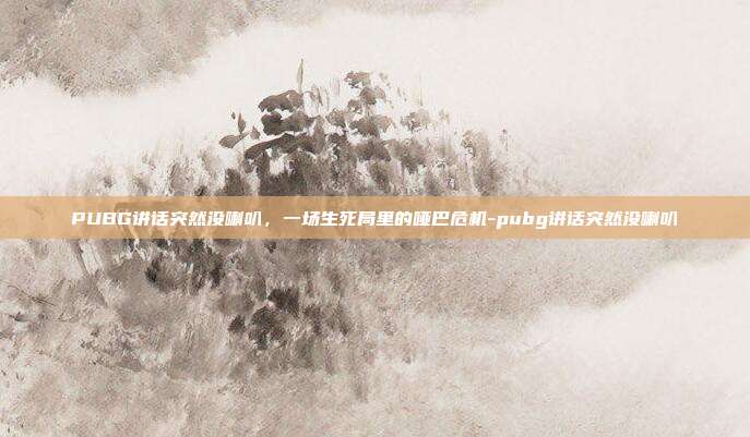 PUBG讲话突然没喇叭,一场生死局里的哑巴危机-pubg讲话突然没喇叭