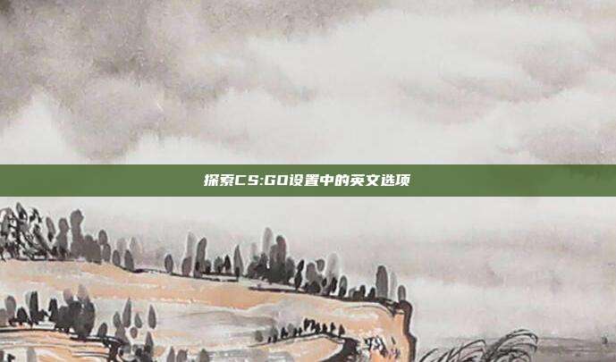 探索CS:GO设置中的英文选项
