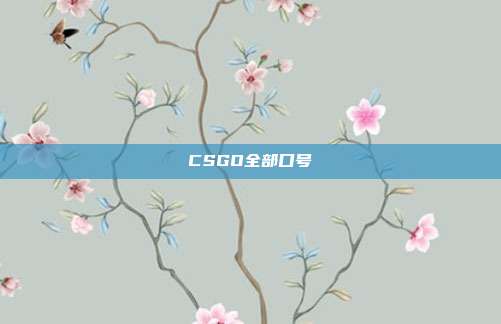 CSGO全部口号