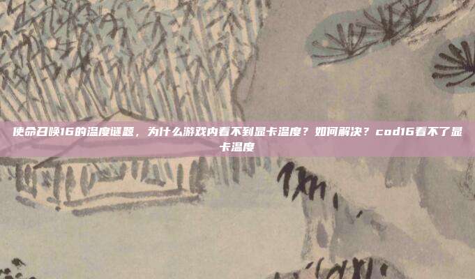 使命召唤16的温度谜题,为什么游戏内看不到显卡温度?如何解决?cod16看不了显卡温度
