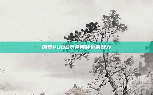 探索PUBG紫色西装包的魅力