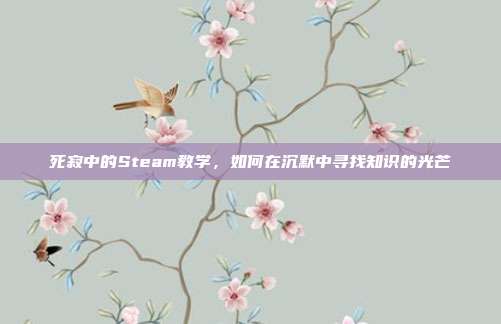 死寂中的Steam教学，如何在沉默中寻找知识的光芒