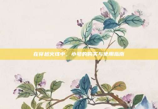 在穿越火线中,小号的购买与使用指南