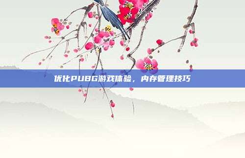 优化PUBG游戏体验，内存管理技巧